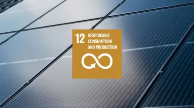 Responsible consumption and production