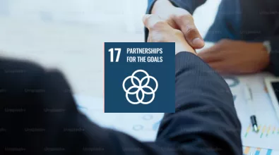 Partnerships for the goals