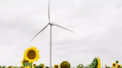 wind_turbine_losmirasoles01.jpg wind_turbine_losmirasoles01.jpg