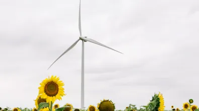 wind_turbine_losmirasoles01.jpg wind_turbine_losmirasoles01.jpg