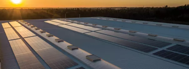 solar panels