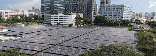 large field of solar panels arranged in a grid pattern, set within an urban area. the background features a variety of buildings of different styles and heights