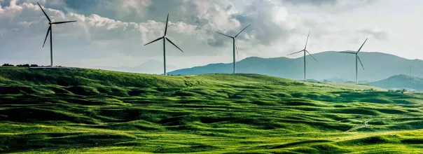wind green farm