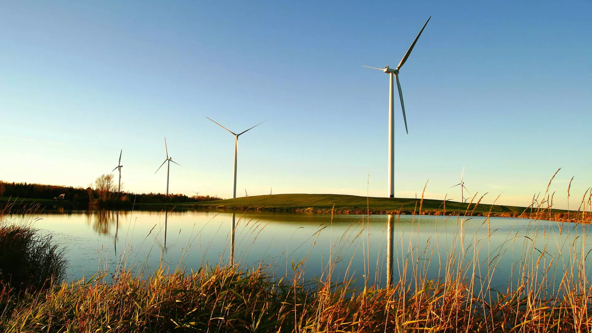 windfarm_marple_ridge_.jpg windfarm_marple_ridge_.jpg