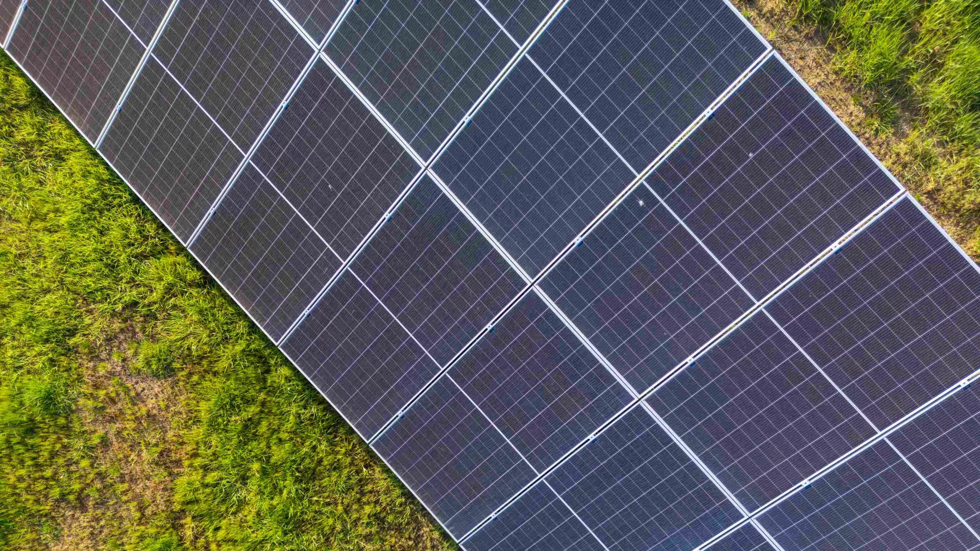 DJI_0875%202_11zon_0.jpg DJI_0875%202_11zon_0.jpg