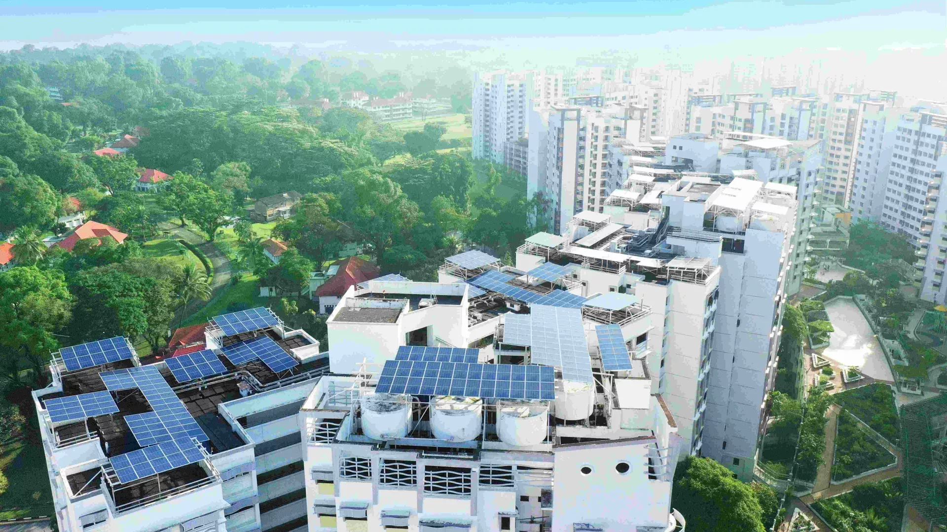 EDPRAPAC_SolarNovaProgram.jpg