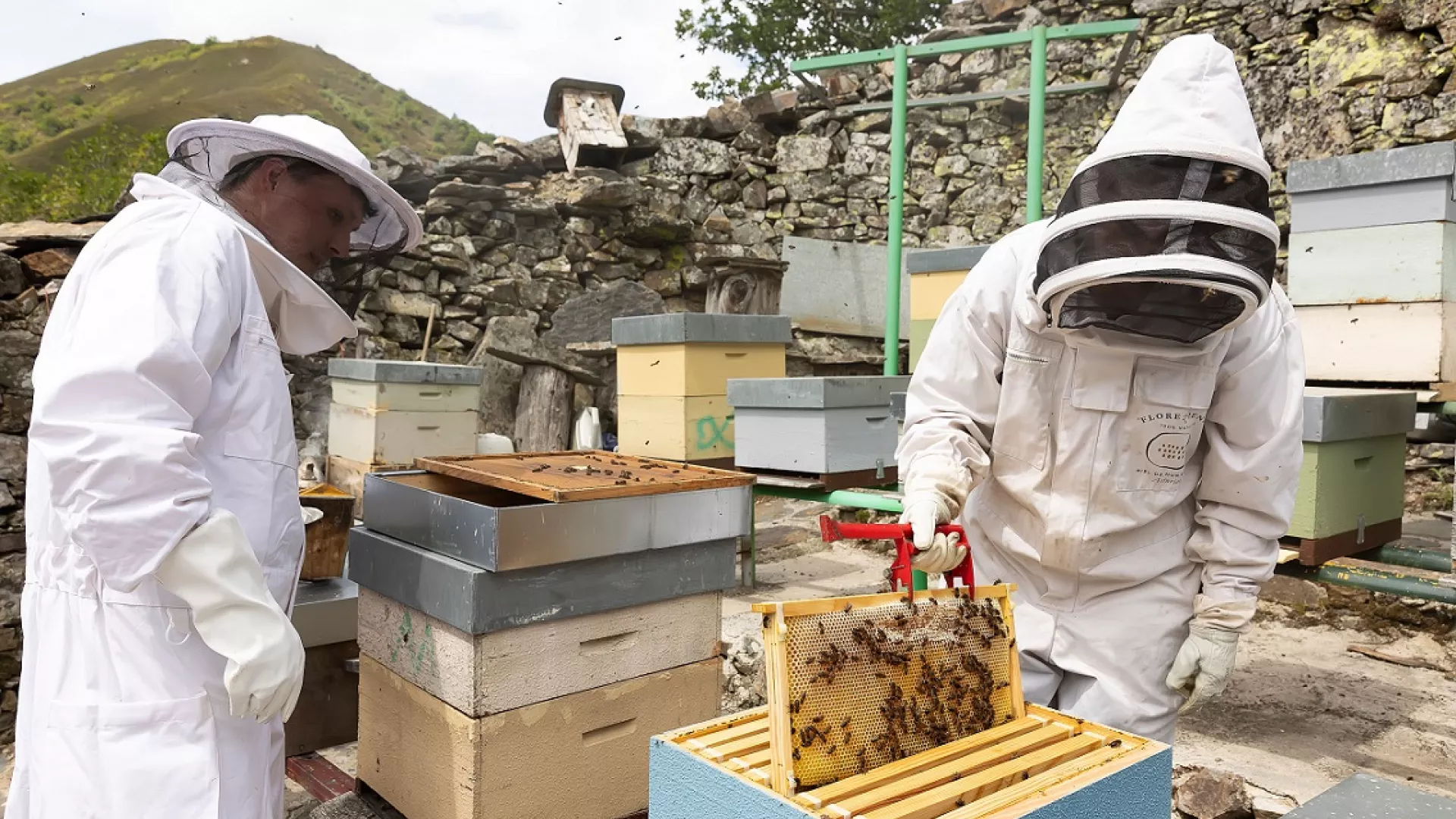 Floreziendo%2C%20proyecto%20de%20Entama%20de%20Adri%C3%A1n%20Florez_0.jpg Floreziendo%2C%20proyecto%20de%20Entama%20de%20Adri%C3%A1n%20Florez_0.jpg