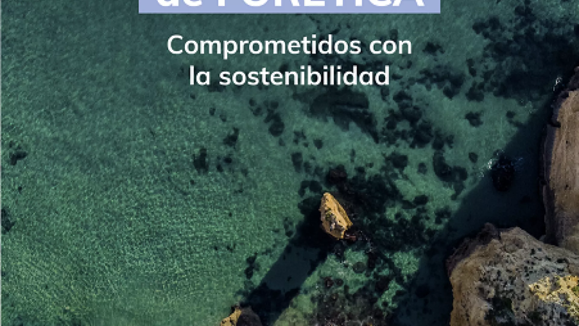 RRSS_EDP%20FORETICA_stories_1080x1920-15.png