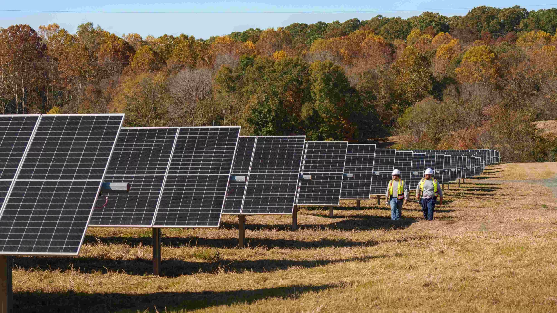 Ragsdale%20Solar%20Park_Annoucement_web.jpg