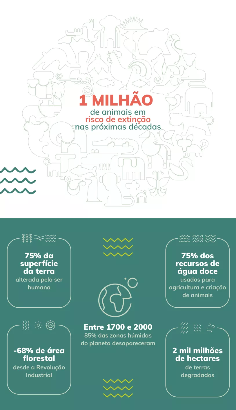 Biodiversidade_Infografico_PT_0.jpg