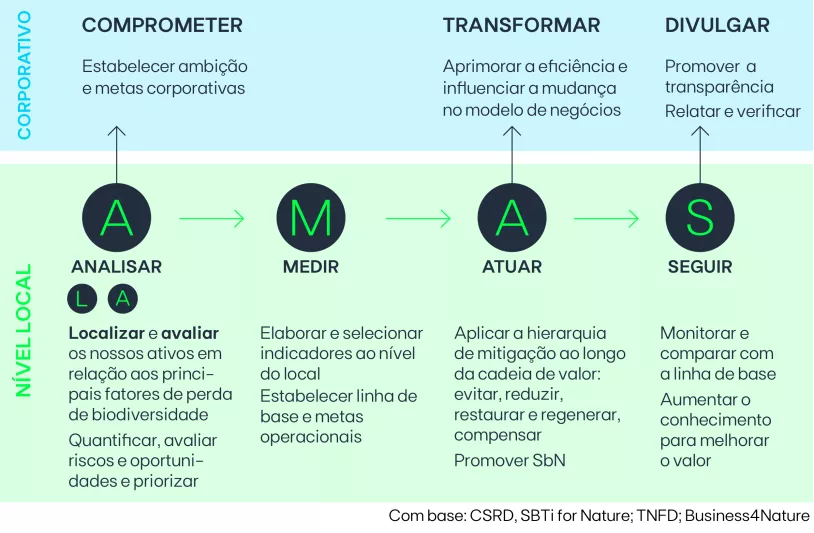 Biodiversidade_estrat%C3%A9gia_PT.png