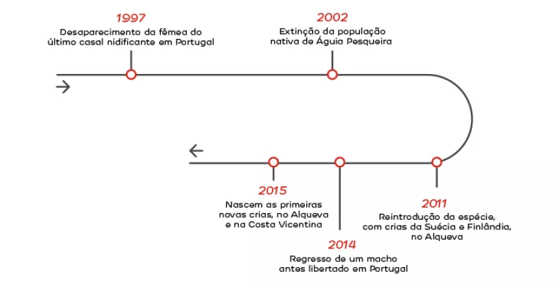 aguiapesqueira1_cronologia_pt.png