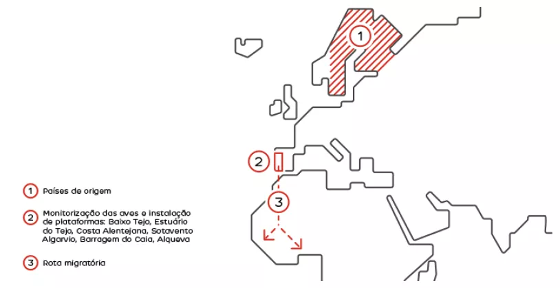 aguiapesqueira2_mapa_pt.png