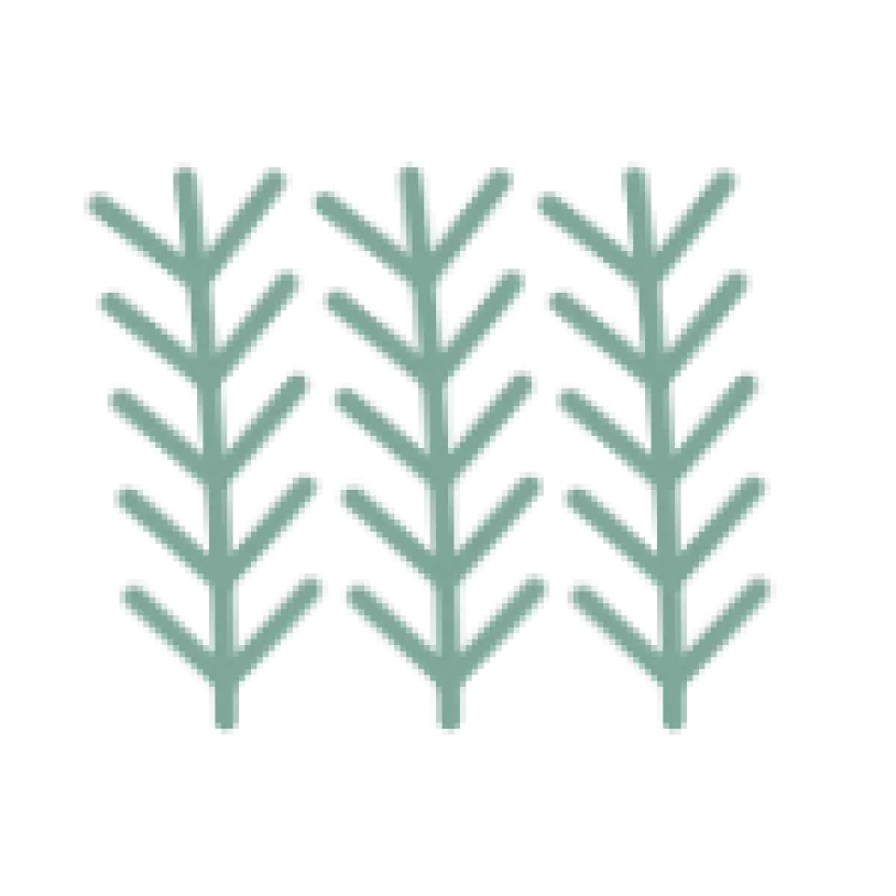 flora00.gif