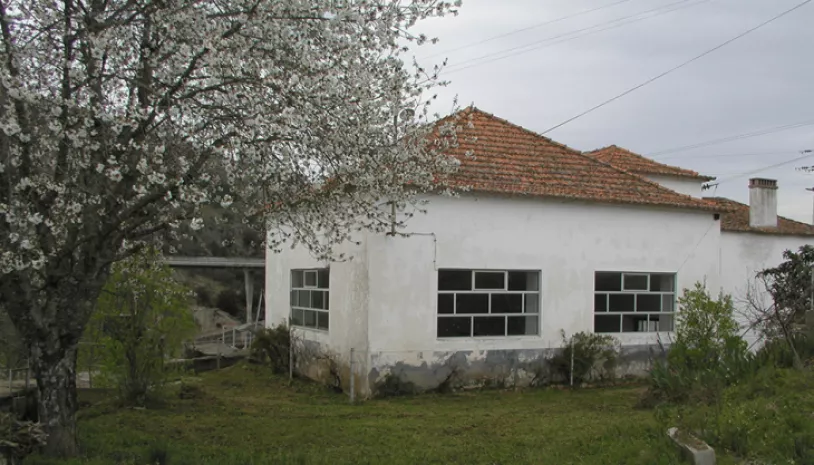 riba_coa.png