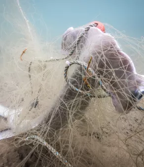 plastic-harm.jpg