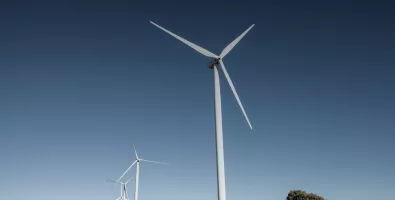 IMG_Header_01.png