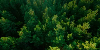 Imagem_Header_01_0.jpg