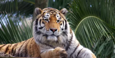 No%20trilho%20do%20vale%20dos%20tigres_%20dia%205_0.jpg