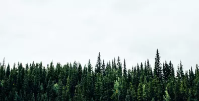 michael-benz-iz2sgqkihm-unsplash_0.jpg