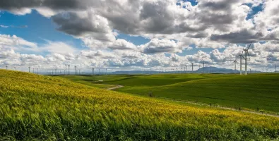 wind-farm-1209784_1280.jpg