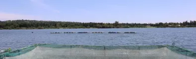 Narovinu.JPG
