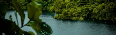 pulau_200kb_header.jpg