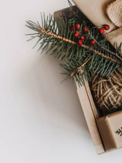 Header_dicasnatal.png