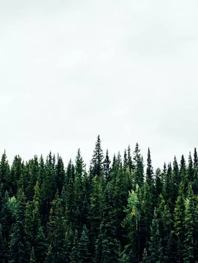 michael-benz-iz2sgqkihm-unsplash_0.jpg